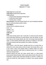 Konspekts 'Ēdienu gatavošana', 1.