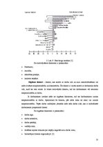 Diplomdarbs 'Kokteiļbāra - restorāna personālvadības analīze krīzes situācijā', 20.
