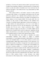 Eseja 'Ārzonu kompāniju darbība Latvijā un to ietekme uz tautsaimniecību', 5.