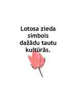 Konspekts 'Lotosa zieds', 1.