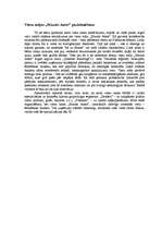 Referāts 'Tūrisma uzņēmumu pozicionēšanas izvērtējums', 3.