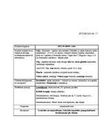 Prakses atskaite 'Kvalifikācijas prakses dienasgrāmata', 17.