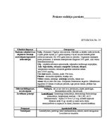 Prakses atskaite 'Kvalifikācijas prakses dienasgrāmata', 19.