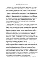 Eseja 'Mistera X socializācijas process', 1.