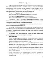 Konspekts 'Nobrieduša augļa galva', 1.