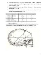 Konspekts 'Nobrieduša augļa galva', 2.