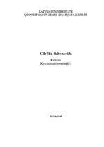 Referāts 'Cilvēku dzīvesveids akmens laikmetā', 1.