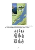 Referāts 'Cilvēku dzīvesveids akmens laikmetā', 6.