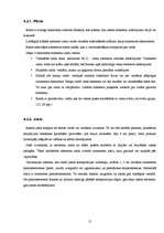 Referāts 'Latviešu ornamenta izcelsme, attīstība un tā nozīme mūsdienās', 15.