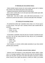 Referāts 'Latviešu ornamenta izcelsme, attīstība un tā nozīme mūsdienās', 18.