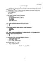 Referāts 'Latviešu ornamenta izcelsme, attīstība un tā nozīme mūsdienās', 29.