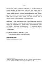 Referāts 'Latviešu valodas problēmas un attīstība', 3.