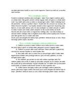 Referāts 'Cilvēku un putnu izvadorgānu sistēma', 3.