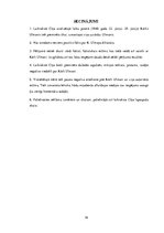 Referāts 'Kārļa Ulmaņa un viņa diktatūras reprezentācija laikraksta "Cīņa" 1940.gada jūnij', 19.