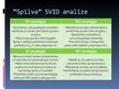 Referāts 'Uzņēmuma "Spilva" SVID analīze', 16.