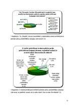 Referāts 'Poltisko partiju finansēšana Latvijā', 16.