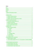 Diplomdarbs 'Reklāmas kampaņas iespējas sporta pasākumu laikā', 2.