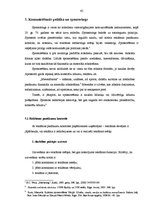 Diplomdarbs 'Reklāmas kampaņas iespējas sporta pasākumu laikā', 42.