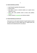 Diplomdarbs 'Reklāmas kampaņas iespējas sporta pasākumu laikā', 55.