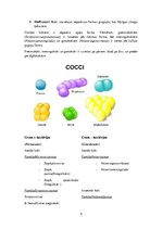 Konspekts 'Patogēnie koki', 4.