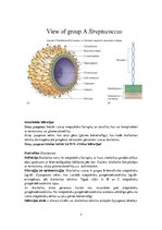 Konspekts 'Patogēnie koki', 7.