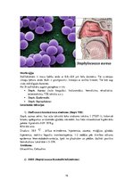 Konspekts 'Patogēnie koki', 16.