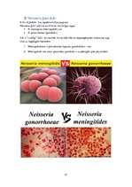 Konspekts 'Patogēnie koki', 21.