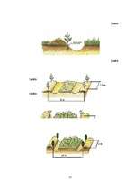 Referāts 'Meža mākslīgā atjaunošana', 21.