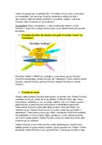 Konspekts 'Filosofijas pamatu eksāmens', 5.