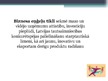 Prezentācija 'Biznesa eņģeļi', 11.