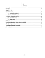 Referāts 'Pusaudži un atkarība no interneta', 2.