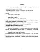 Referāts 'Pusaudži un atkarība no interneta', 3.