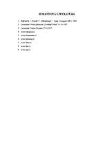 Referāts 'Uzņēmuma preču raksturojums, priekšlikumi preču kvalitātes uzlabošanā A/S „Cēsu ', 19.