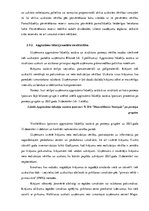 Prakses atskaite 'Grāmatvedības prakses atskaite', 20.