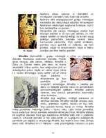 Referāts 'Grieķu dievi', 14.