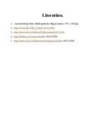 Konspekts 'Literārais darbs "Baltā grāmata"', 8.