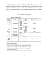 Biznesa plāns 'Gāzes uzpildes stacijas izveidošana', 17.