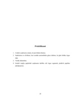 Biznesa plāns 'Gāzes uzpildes stacijas izveidošana', 28.