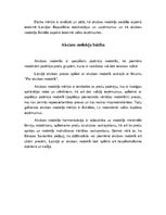 Referāts 'Akcīzes nodoklis', 4.