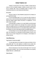 Biznesa plāns 'Business Plan', 5.