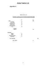 Biznesa plāns 'Business Plan', 8.