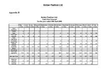 Biznesa plāns 'Business Plan', 10.