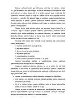 Diplomdarbs 'Apgrozāmo līdzekļu raksturojums un uzskaite', 9.