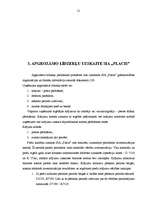 Diplomdarbs 'Apgrozāmo līdzekļu raksturojums un uzskaite', 21.