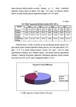 Diplomdarbs 'Apgrozāmo līdzekļu raksturojums un uzskaite', 33.