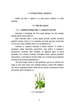Referāts 'Latvijā vākto zāļu tēju antioksidatīvo īpašību novērtējums', 6.