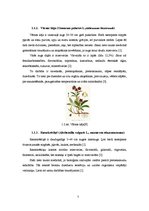 Referāts 'Latvijā vākto zāļu tēju antioksidatīvo īpašību novērtējums', 7.