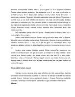 Referāts 'Spānijas sociālekonomiskais raksturojums', 9.