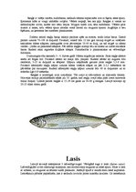 Referāts 'Zivis', 14.