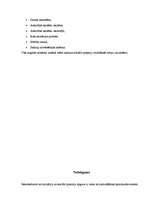 Referāts 'Audzināšana un socializācija', 7.